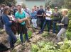 P. Maria Karaś dzieli się swoją praktyką i wiedzą na temat zastosowania ziół.